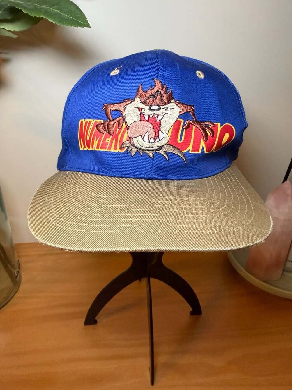 Vintage 1996 Warner Bros Looney Tunes Taz Numero Uno Snapback Cap